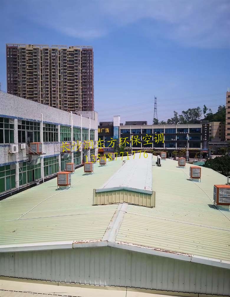 ”润东方“环保空调--屋顶安装案例